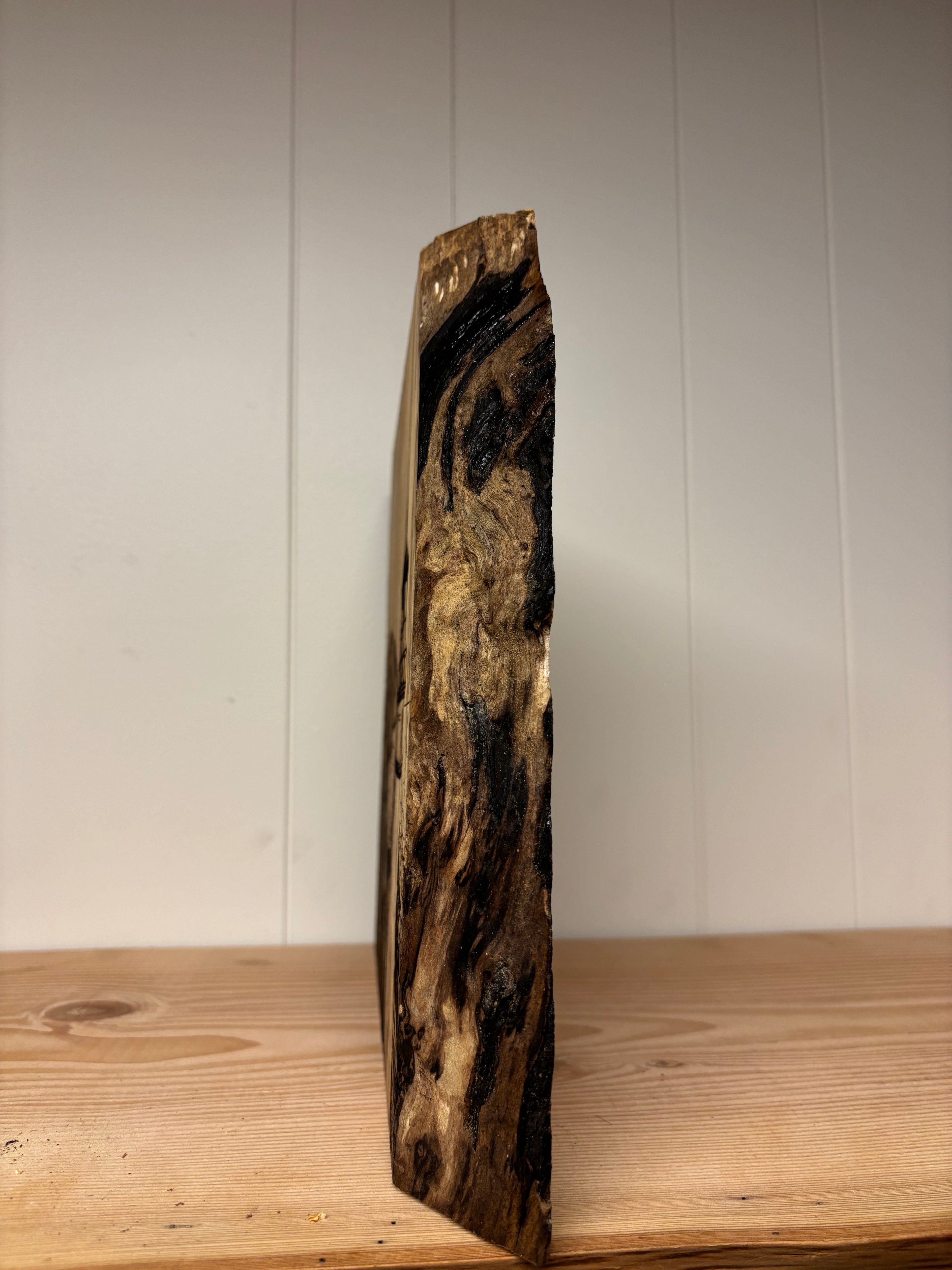 Wood burned Spalted  Maple  live-edge Art
