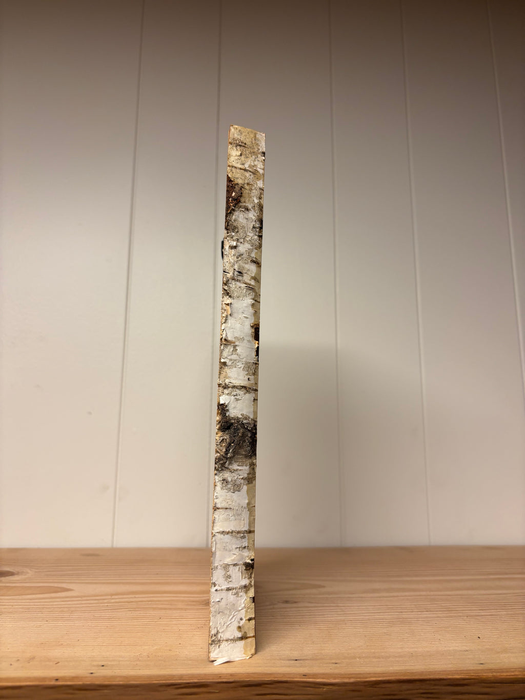 Wood burned birch Slab live edge Art
