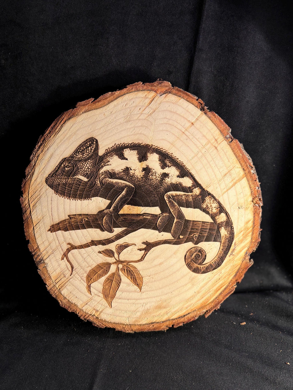Mr.  Gecko - Live Edge Art