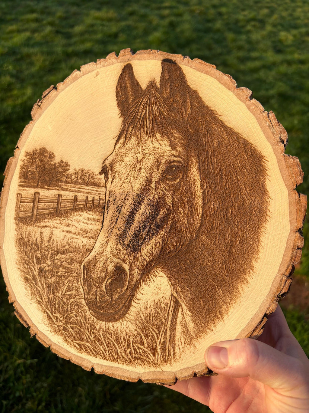 The horse - Live Edge