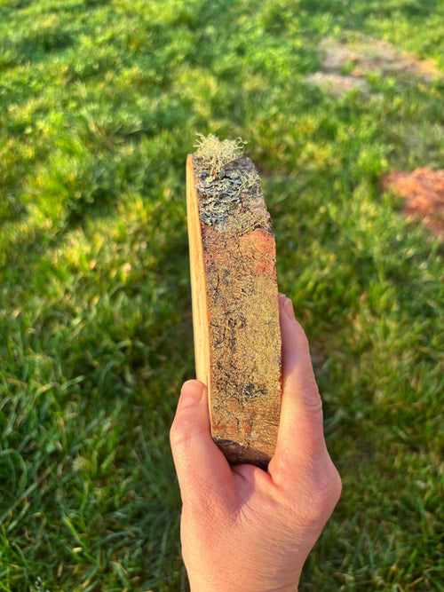 Grandpas Ford - live Edge Art