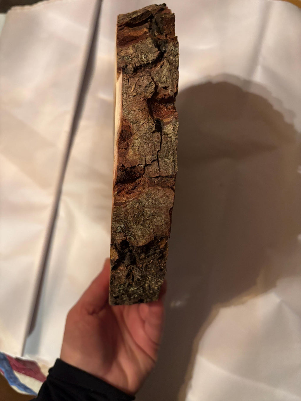 Majestic Buffalo Live edge wood art