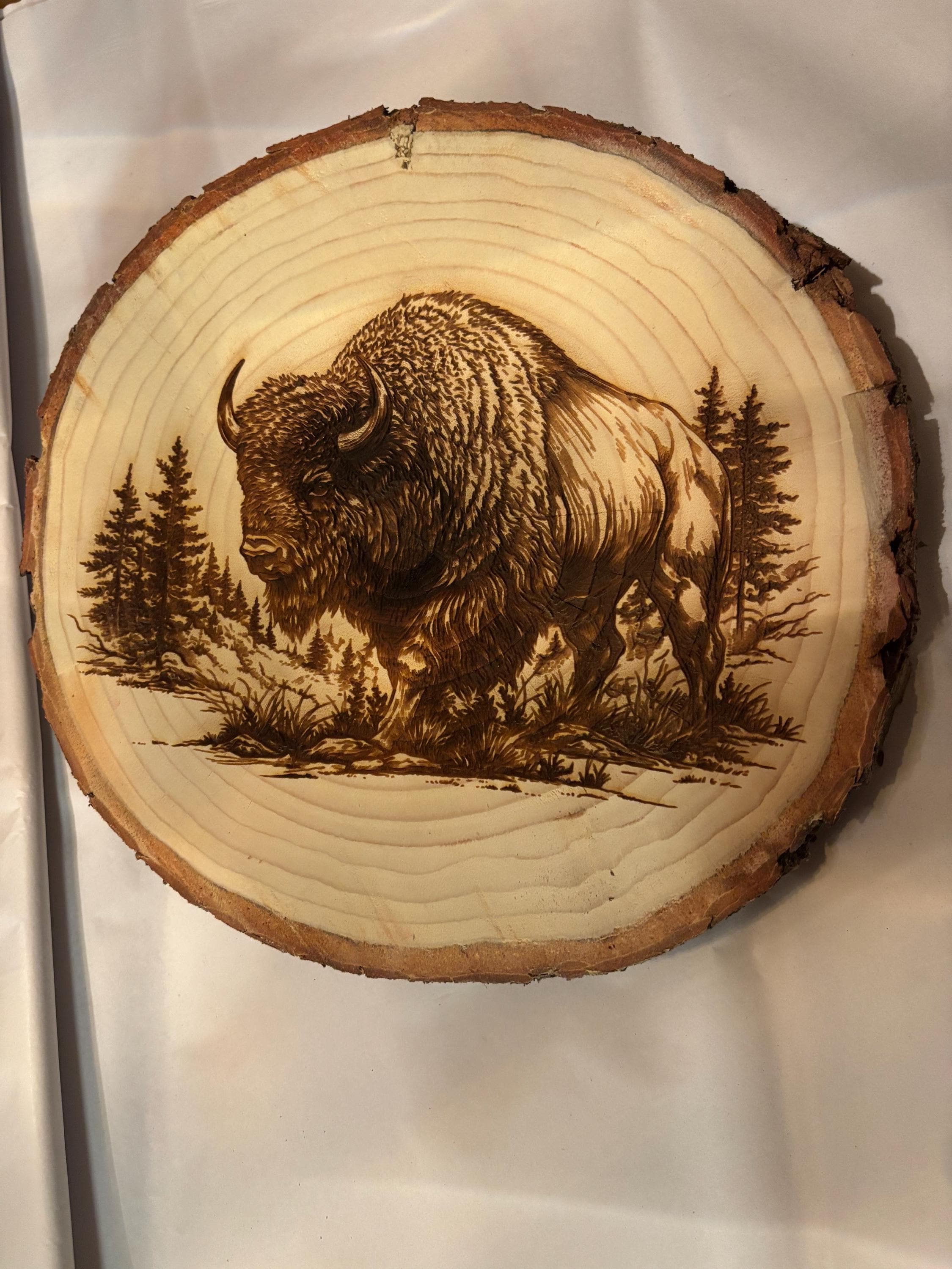Majestic Buffalo Live edge wood art