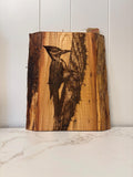 Woodpecker -  Live Edge ArtWork