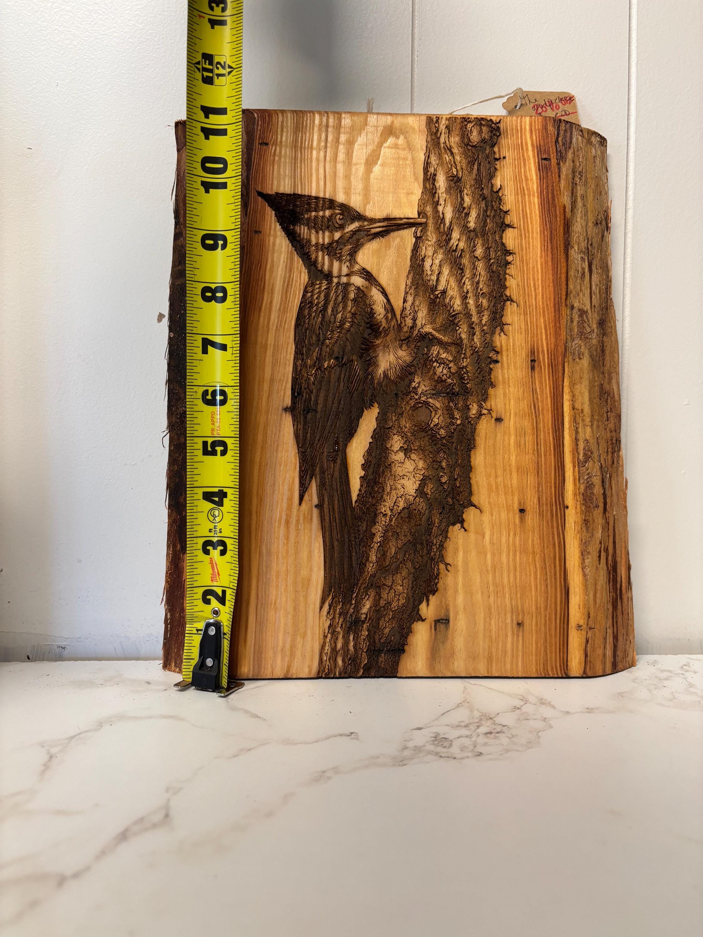 Woodpecker -  Live Edge ArtWork