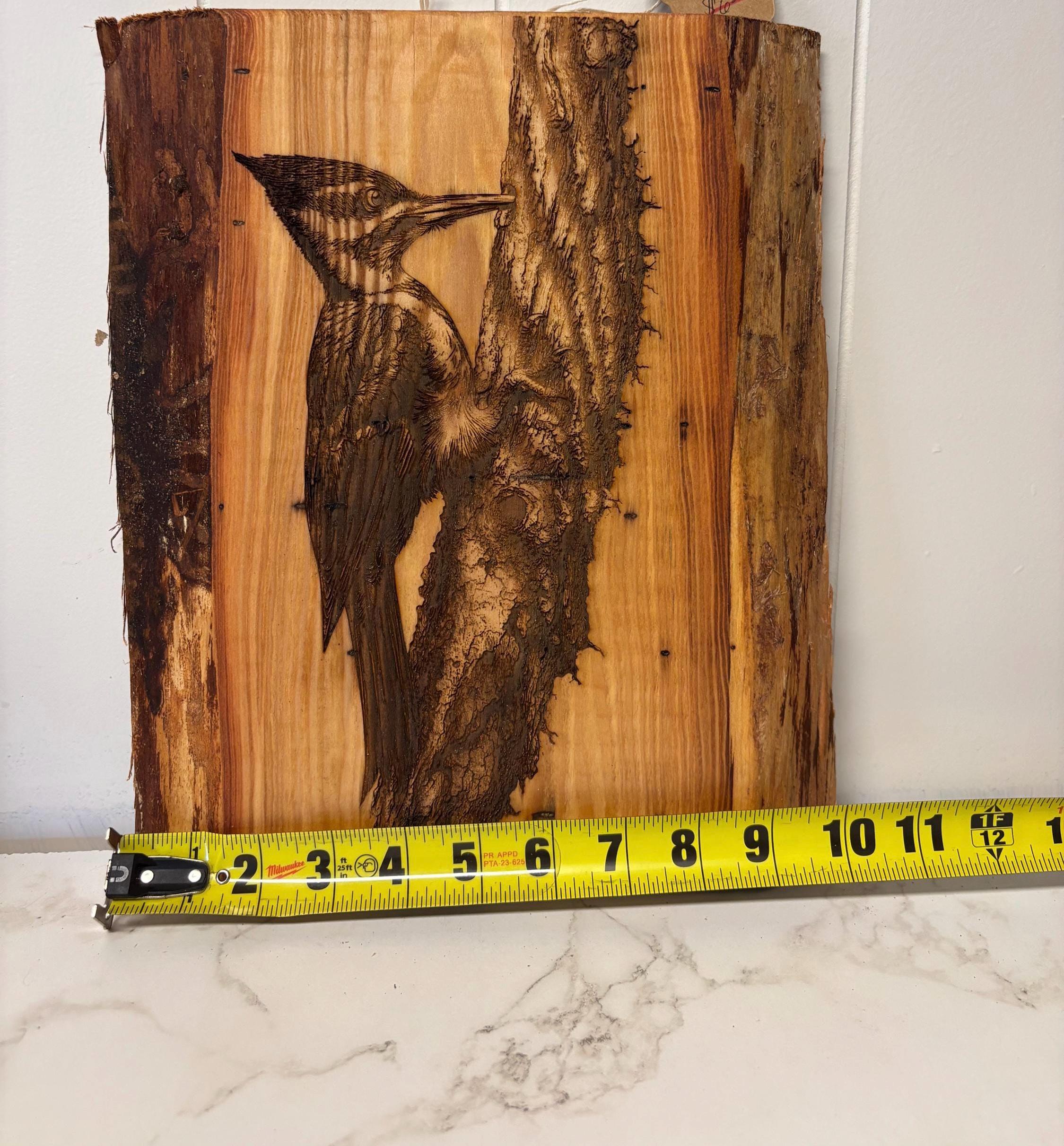 Woodpecker -  Live Edge ArtWork