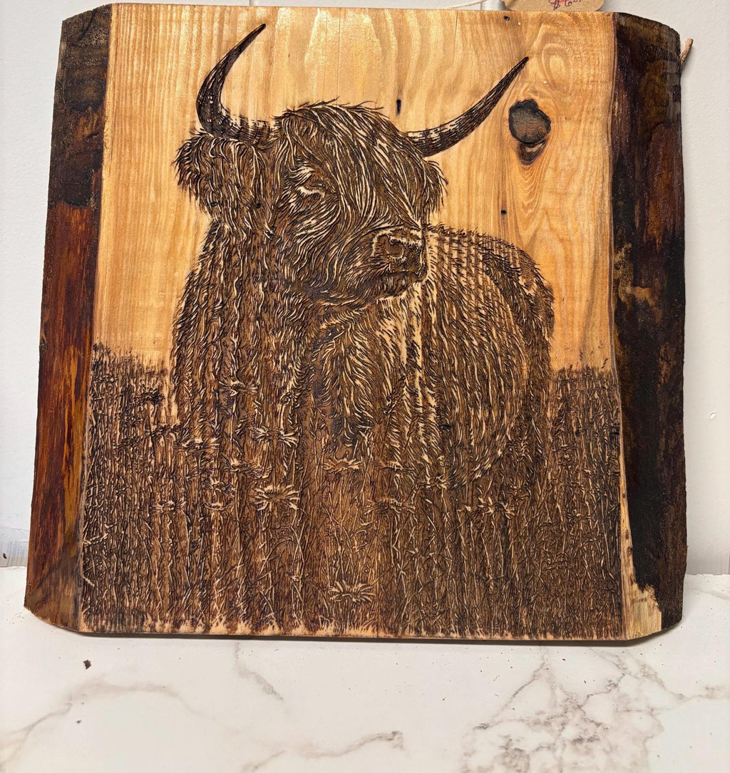 The Highland Cow