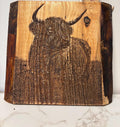 The Highland Cow