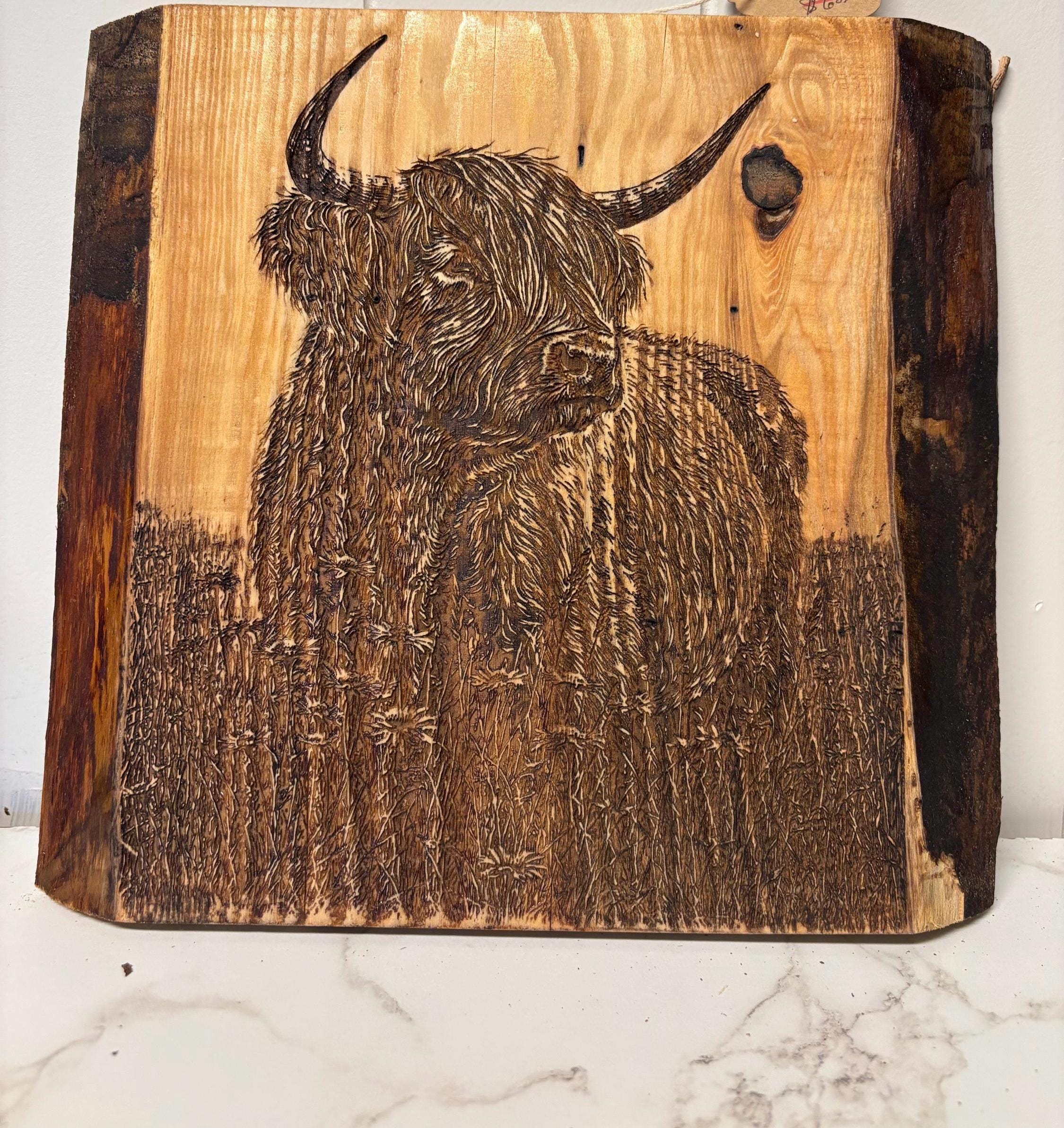 The Highland Cow