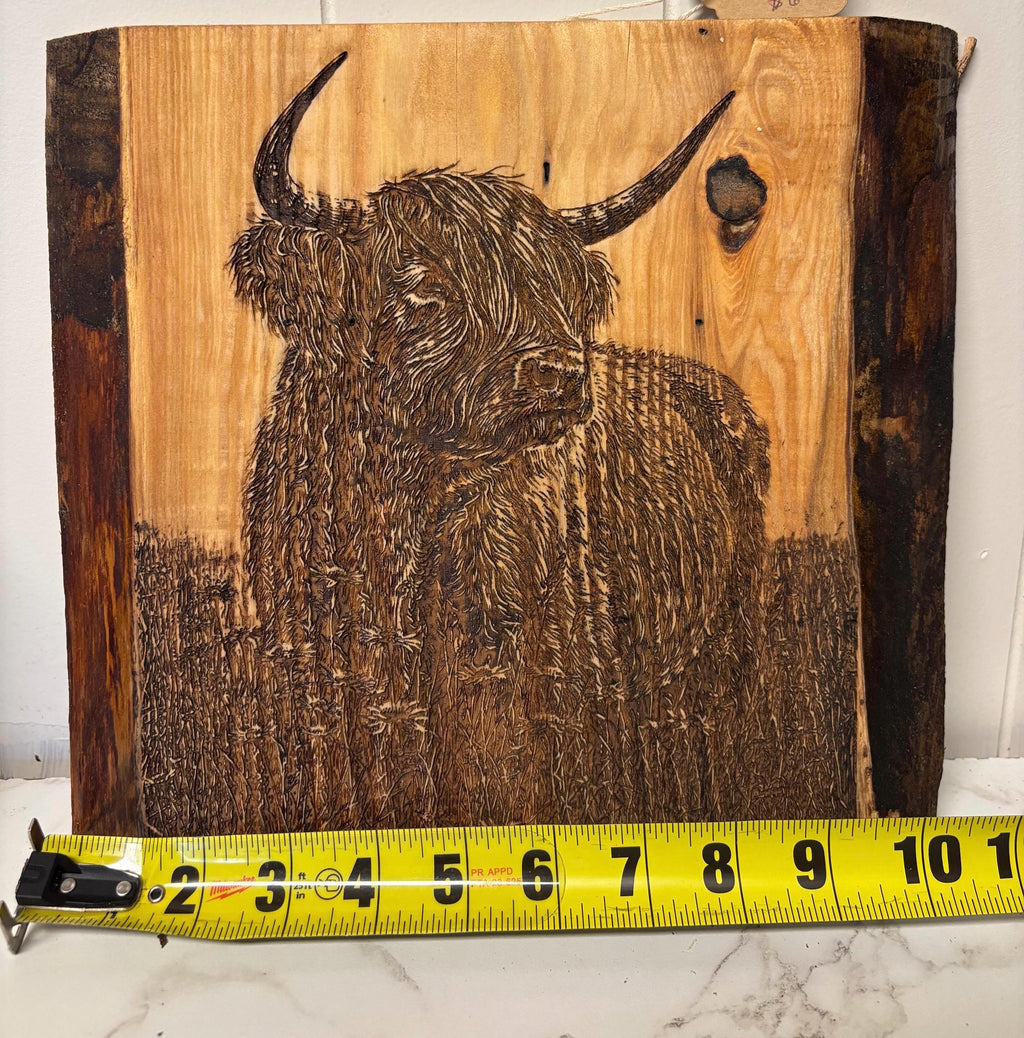 The Highland Cow