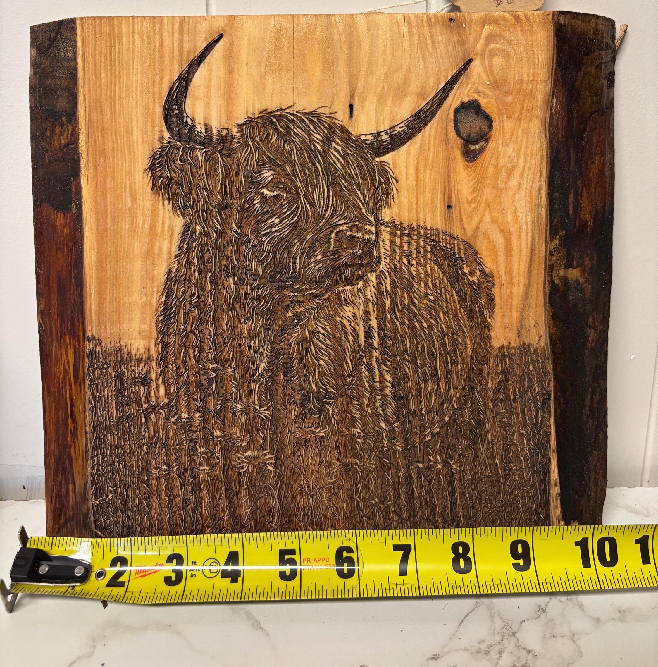The Highland Cow